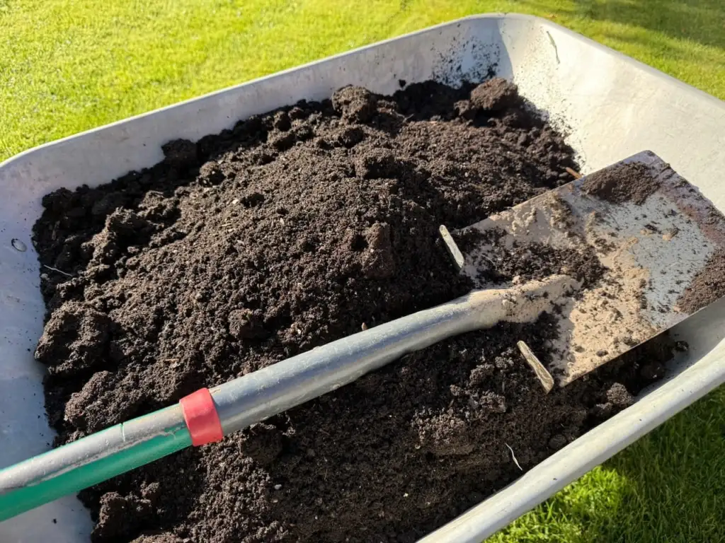 Dark crumbly homemade compost in a wheelbarrow with a spade, ready to use as mulch