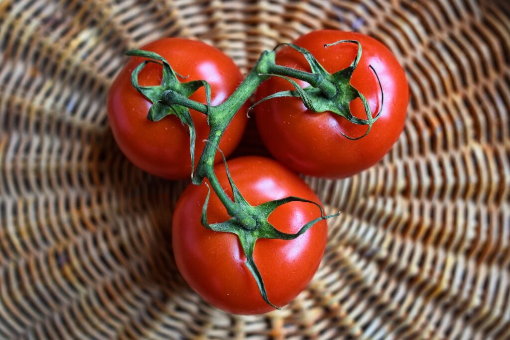 Vine tomatoes growing guide