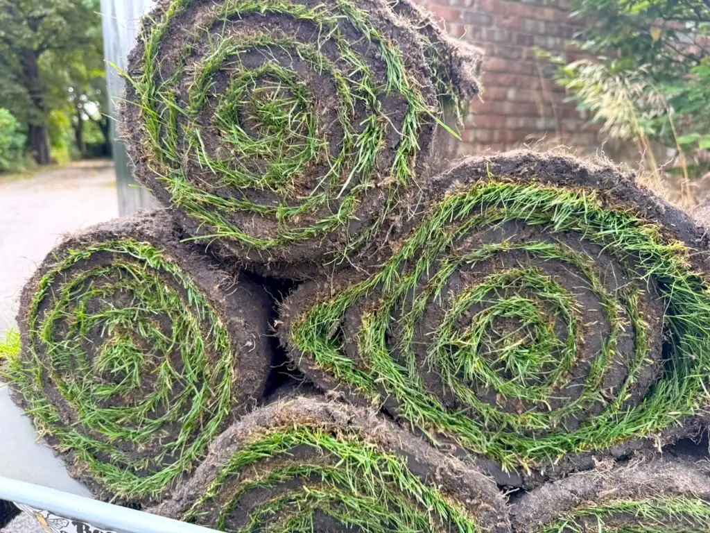 Freshly cut and lifted rolls of turf stacked and ready to lay