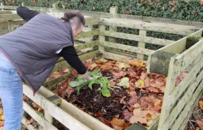Recycling plants by composting