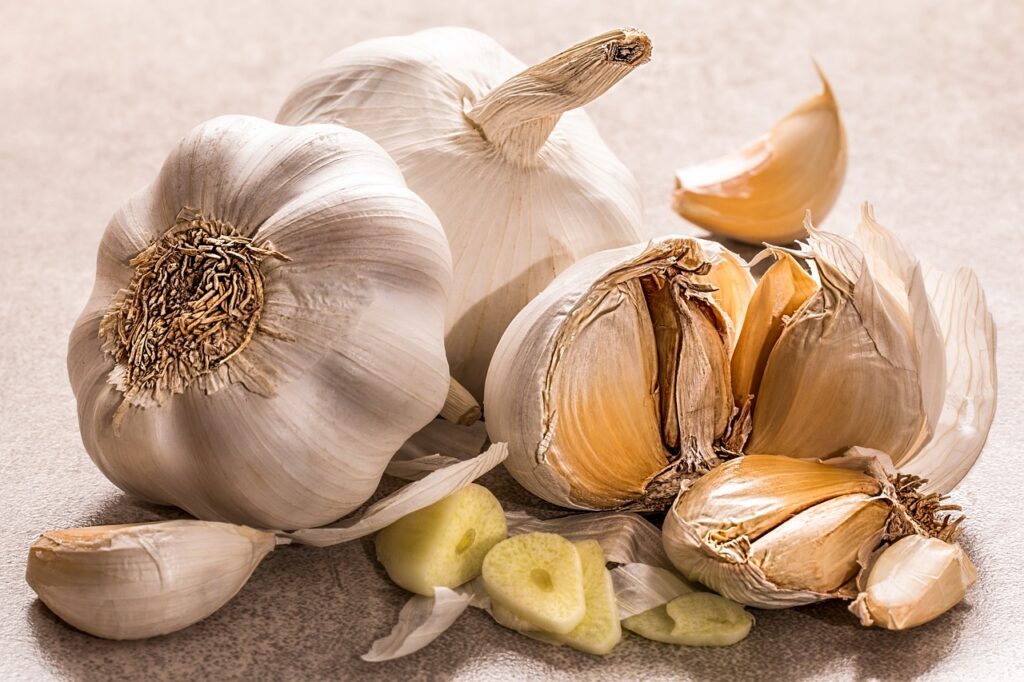 Can garlic survive frosts
