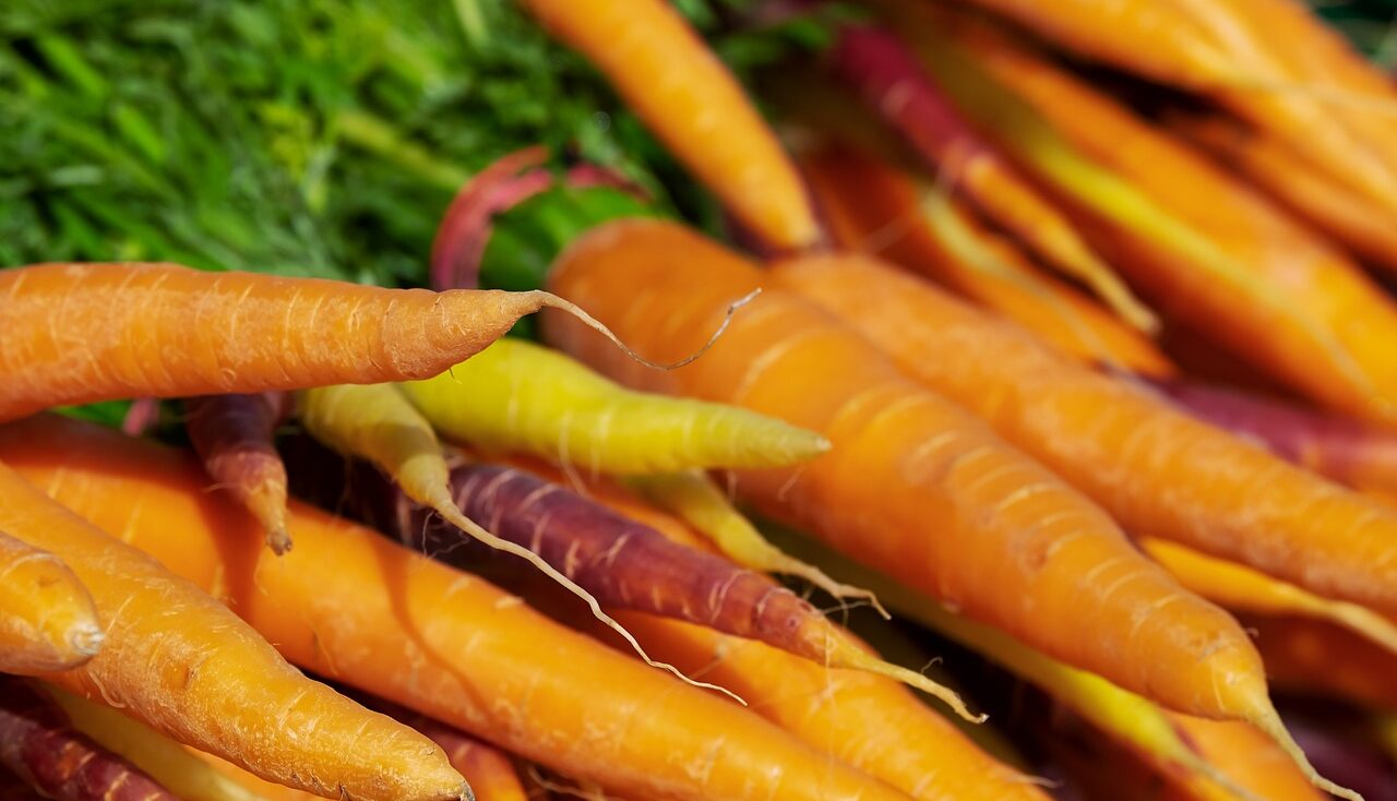 How to grow carrots