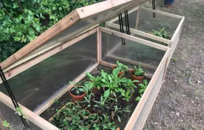 a set of cold frames with plants