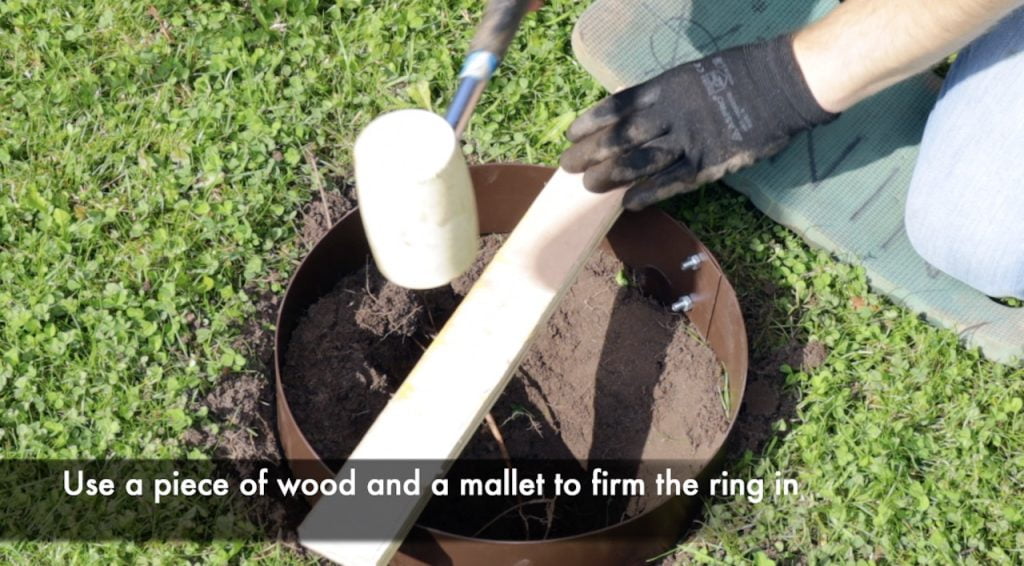 Fitting a tree ring into lawn