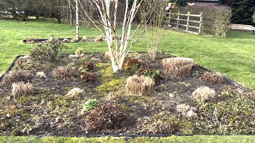 Herbaceous border after pruning in winter