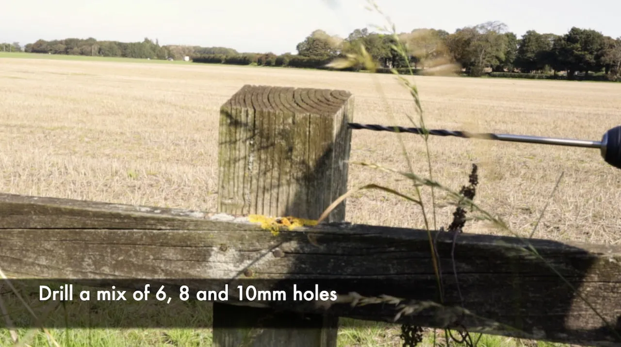 Drilled nest holes in a wooden post for solitary bees in a UK garden