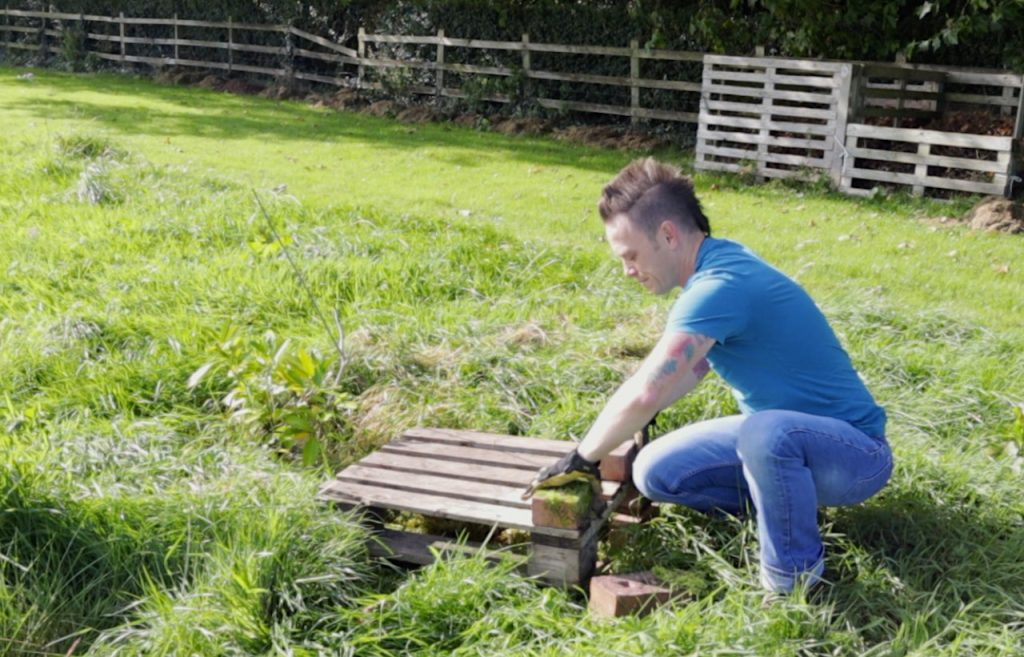 Choosing a location for a bug hotel