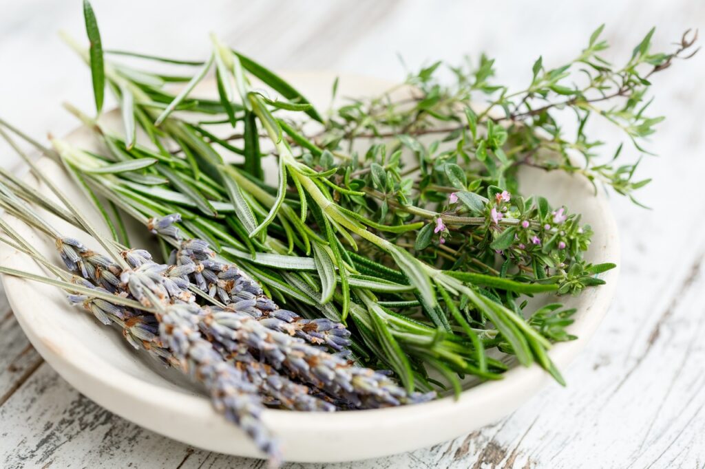 Fresh herbs on a kitchen table for cooking