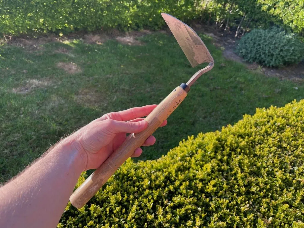 A Japanese weeding tool being held by Lee Burkhill