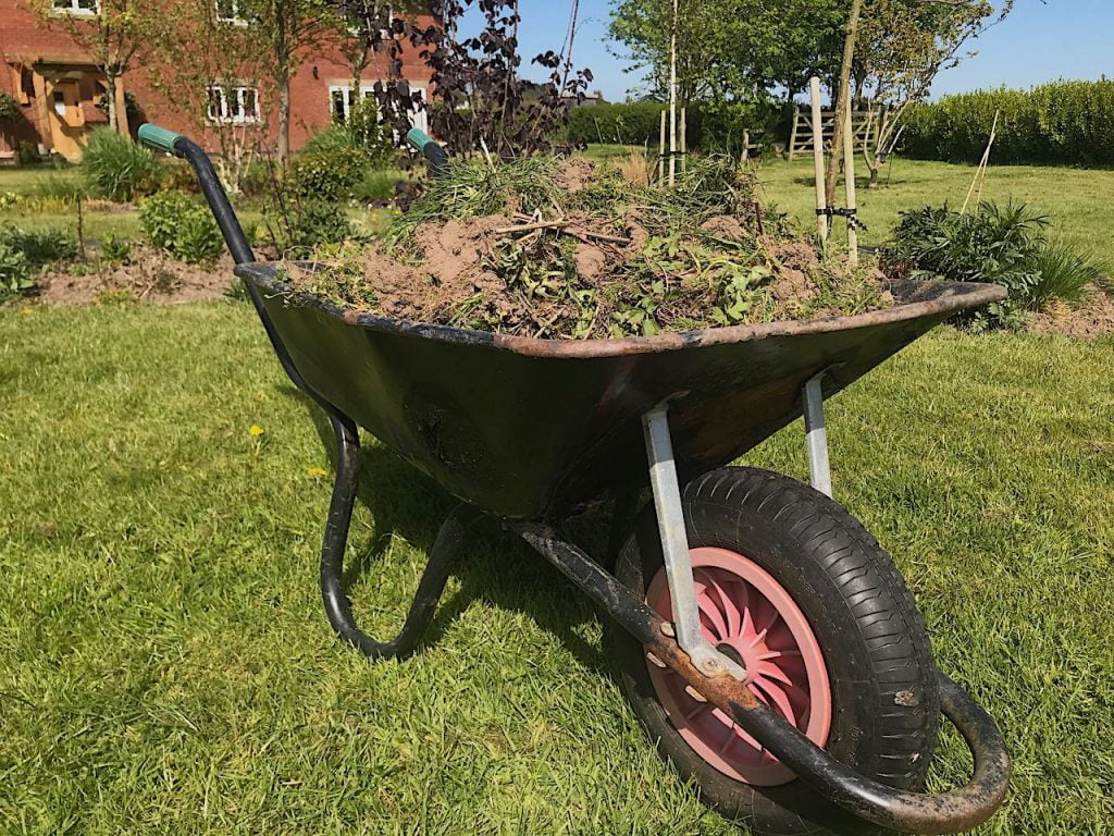 A wheel barrow full of weeds