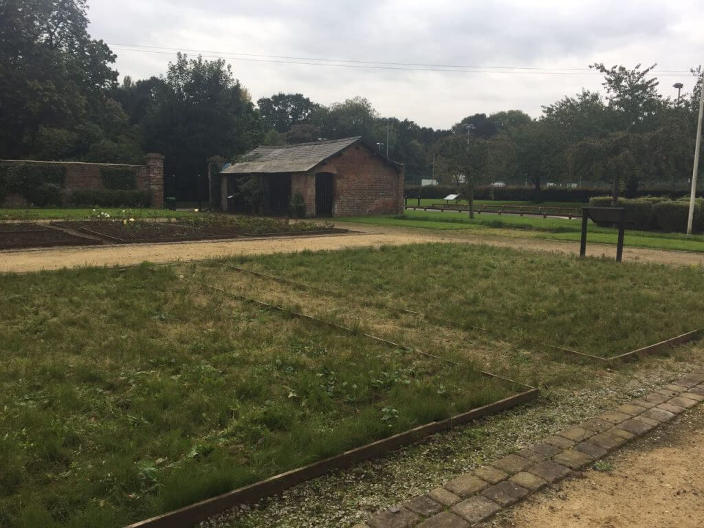 Sensory story garden wythenshawe before picture