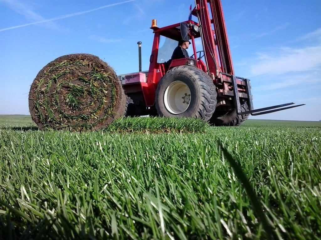 A machine cutting rolls of turf