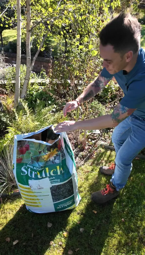 Best time to mulch your garden