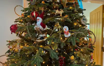 Living christmas tree guide