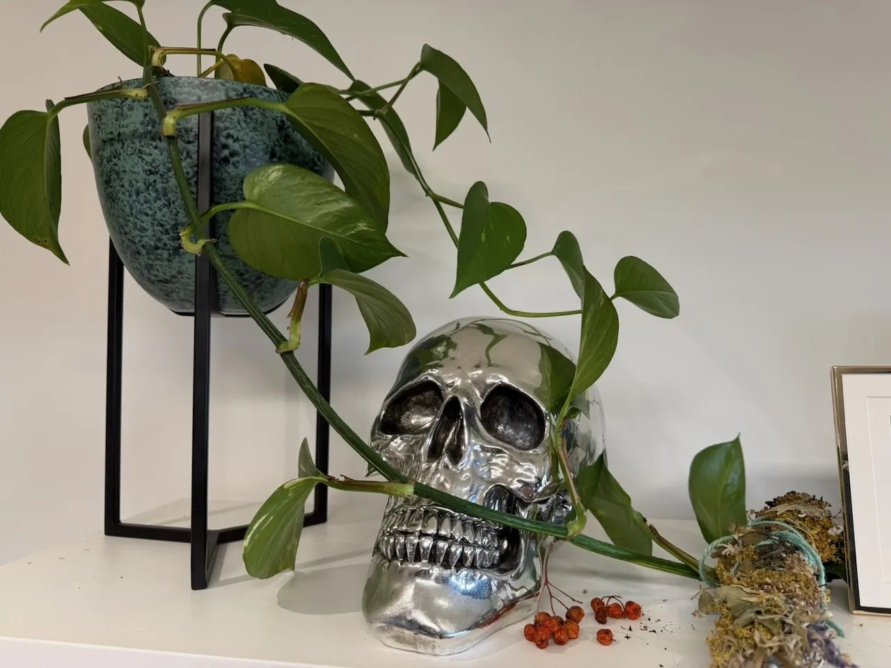 Plants to grow for witchcraft folklore in a UK garden