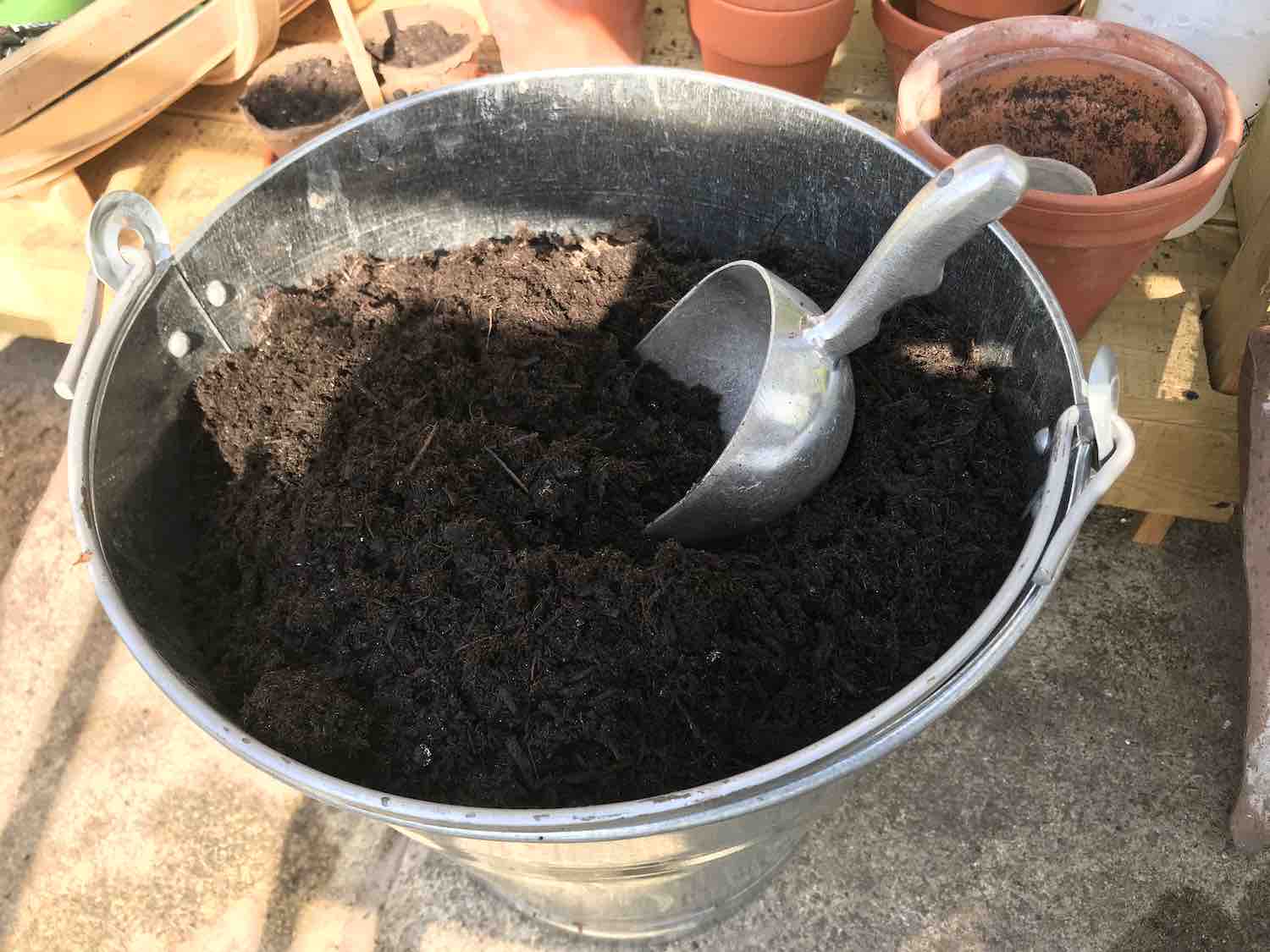 A bucket full of compost in garden ninjas greenhouse
