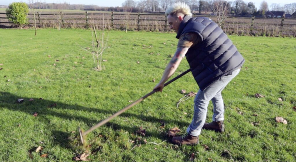 Preparing the soil for yellow rattle