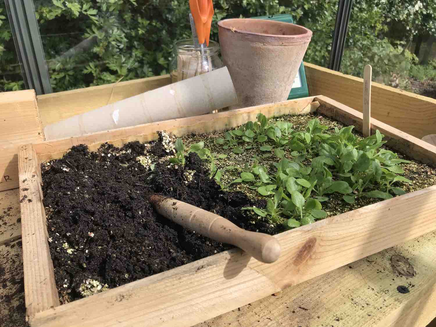What are the alternatives to using peat-based compost? / RHS Gardening