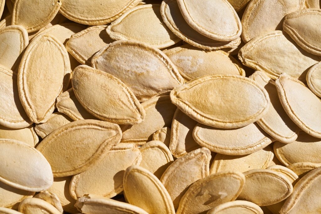 Large pumpkin seeds for sowing