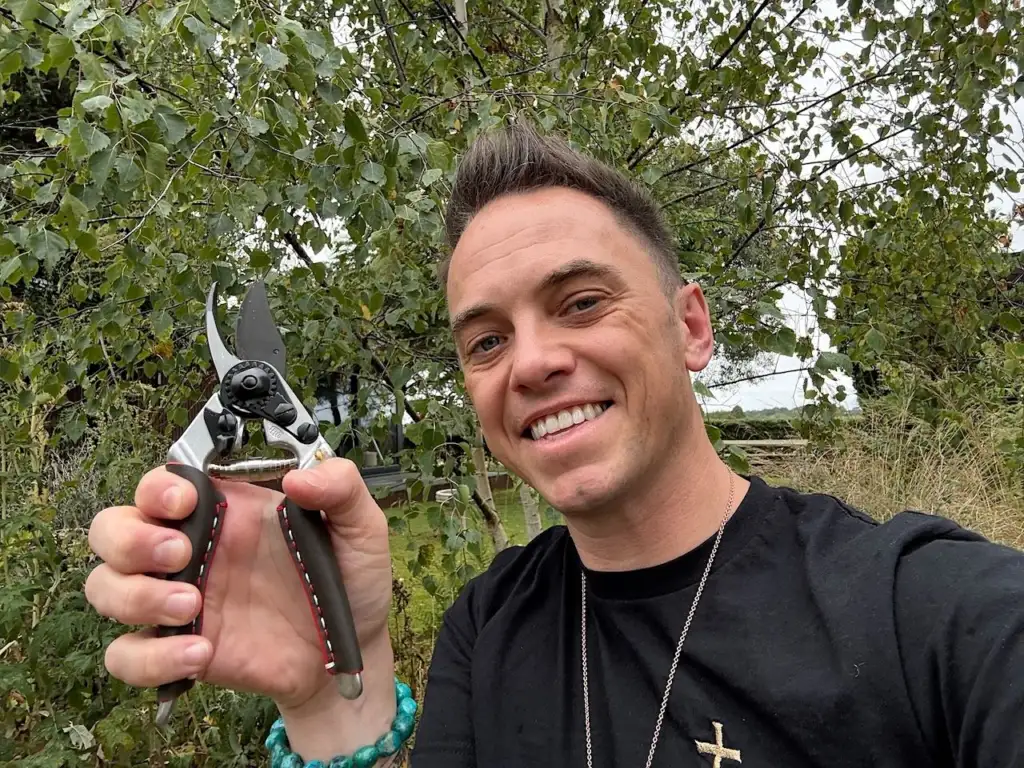 Best secateurs uk