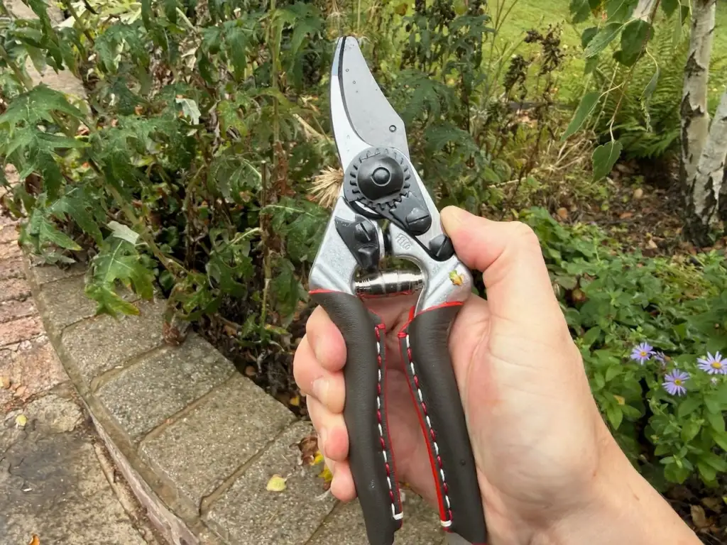 Felco high end garden snips