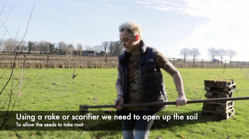 Scarifying a meadow for yellow rattle