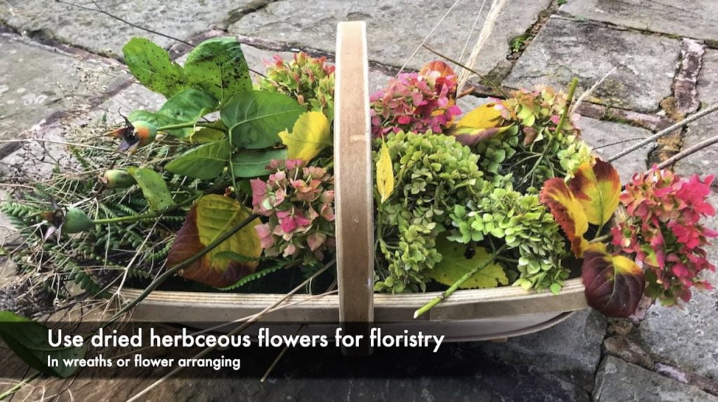 Dried flowers in a trug