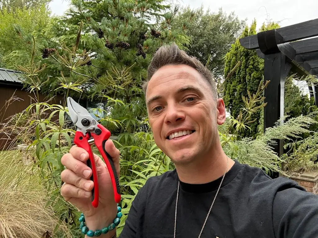 Felco 171m secateurs
