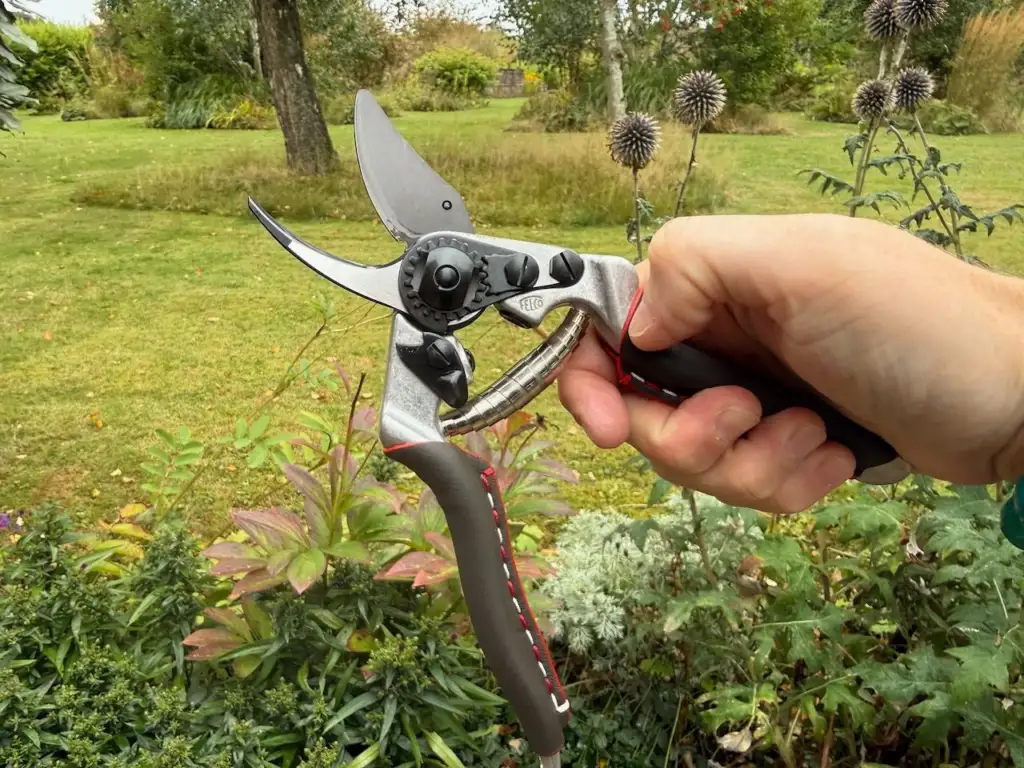 Best felco secateurs