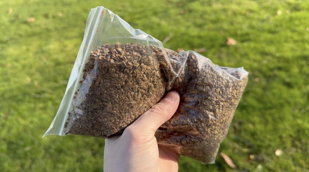 A bag of yellow rattle seeds