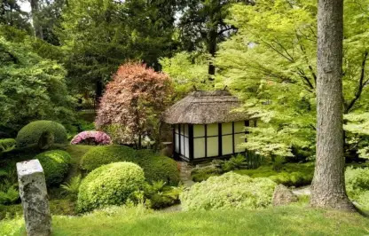 A Japanese themed garden in Manchester