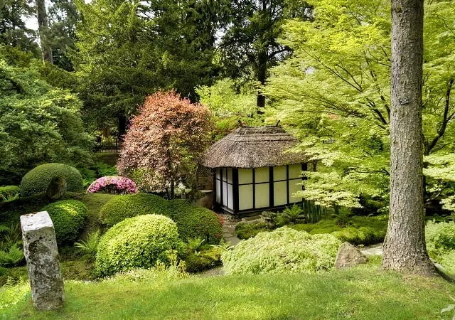 A Japanese themed garden in Manchester
