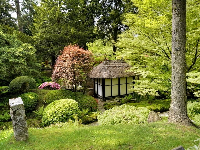 tatton-japanese-tea-garden