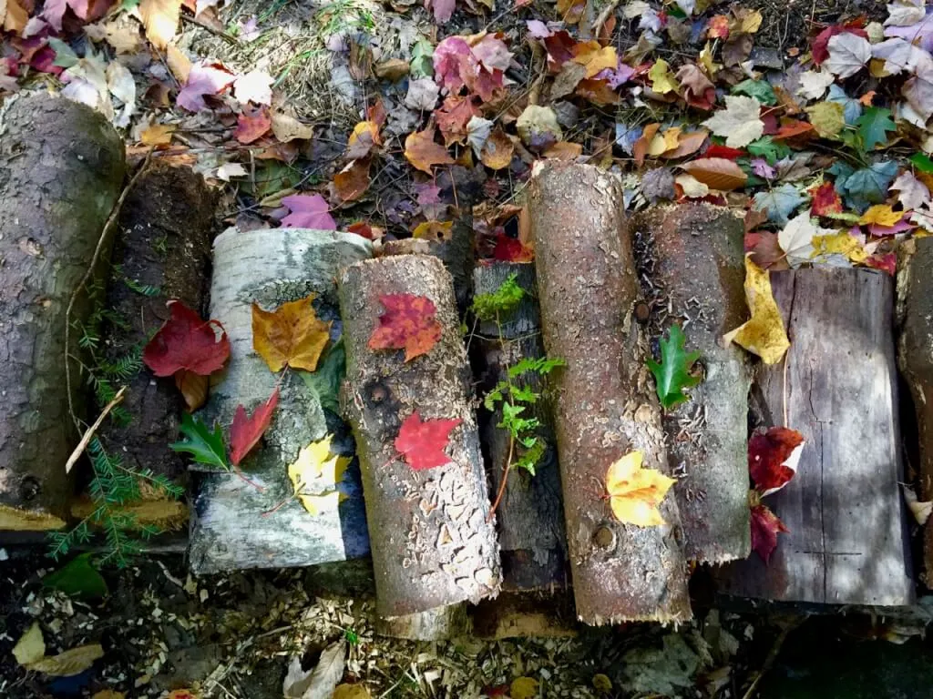 leaf mould compost next to logs
