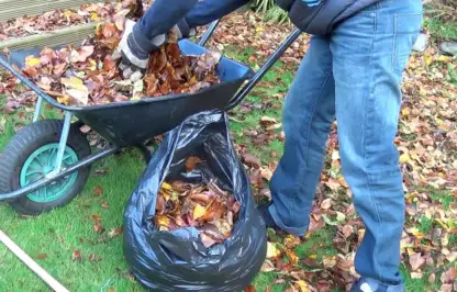 Garden Ninja putting leaves in a bag to make leaf mold