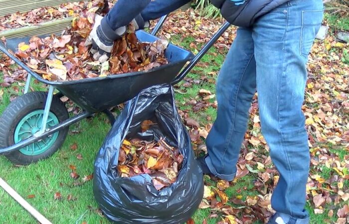 Garden Ninja putting leaves in a bag to make leaf mold