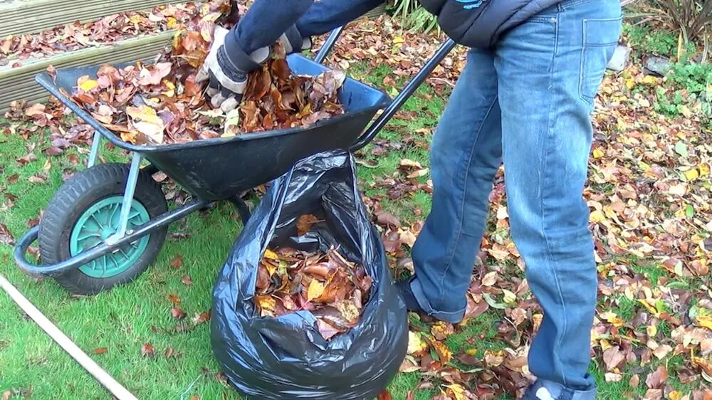 leaves in a bag