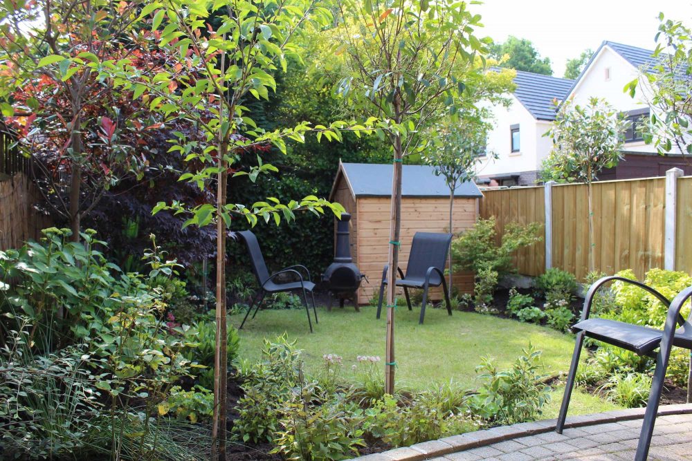Overlooked Back Garden - Garden Ninja Ltd Garden Design on Rear Garden Designs
 id=32080