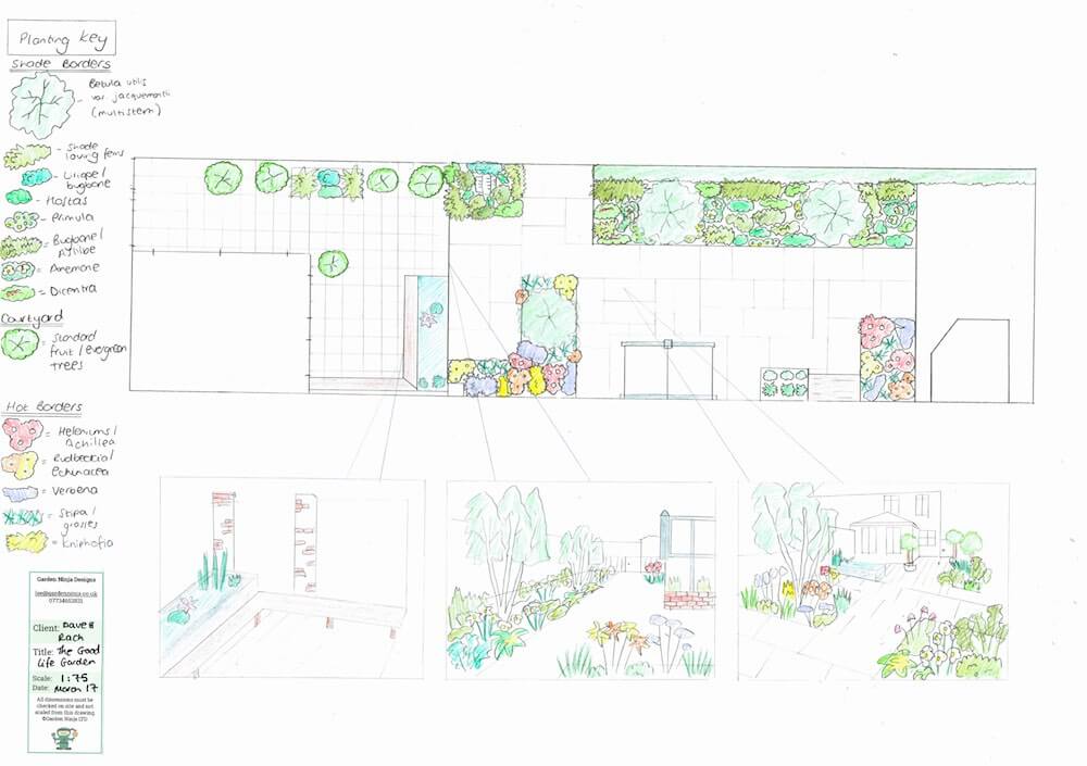 Un design dessiné à la main pour un jardin adapté aux chiens