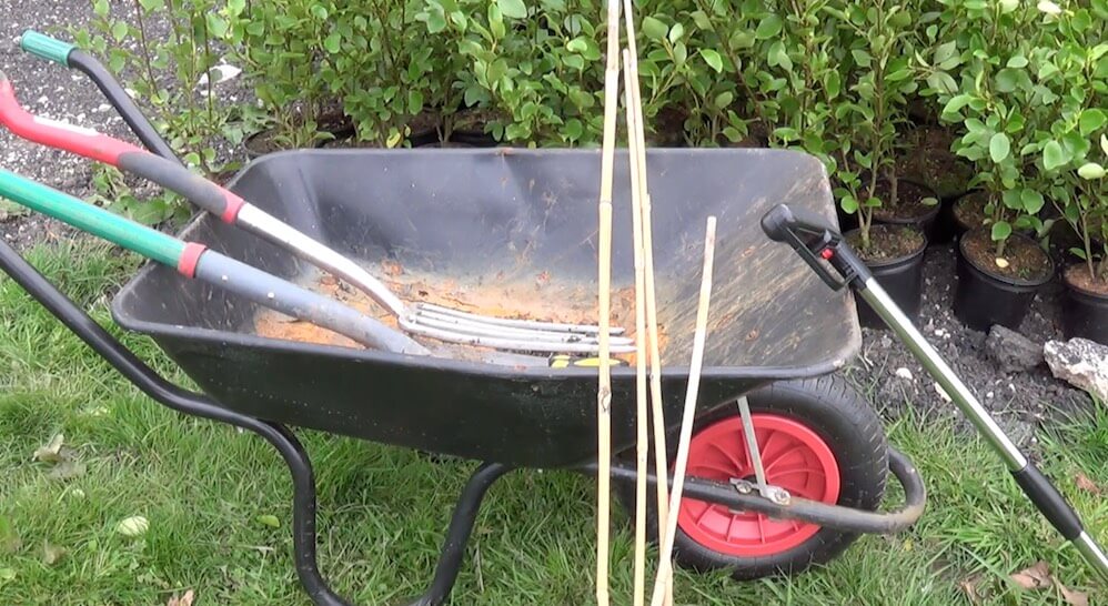 A wheelbarrow full of canes and a spade