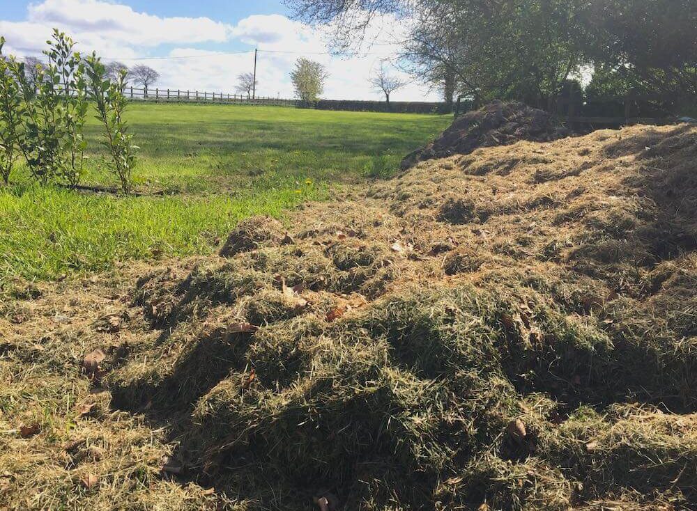 A large heap of grass clippings