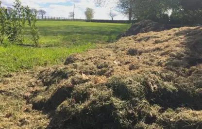 A large heap of grass clippings