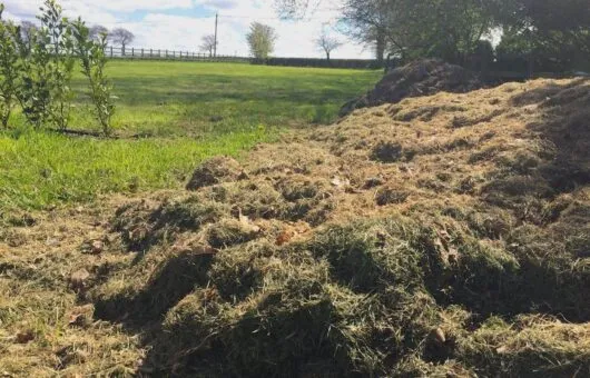 A large heap of grass clippings