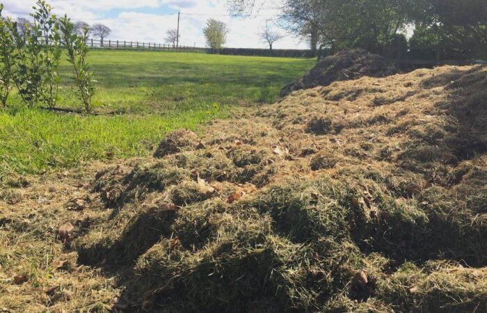 A large heap of grass clippings