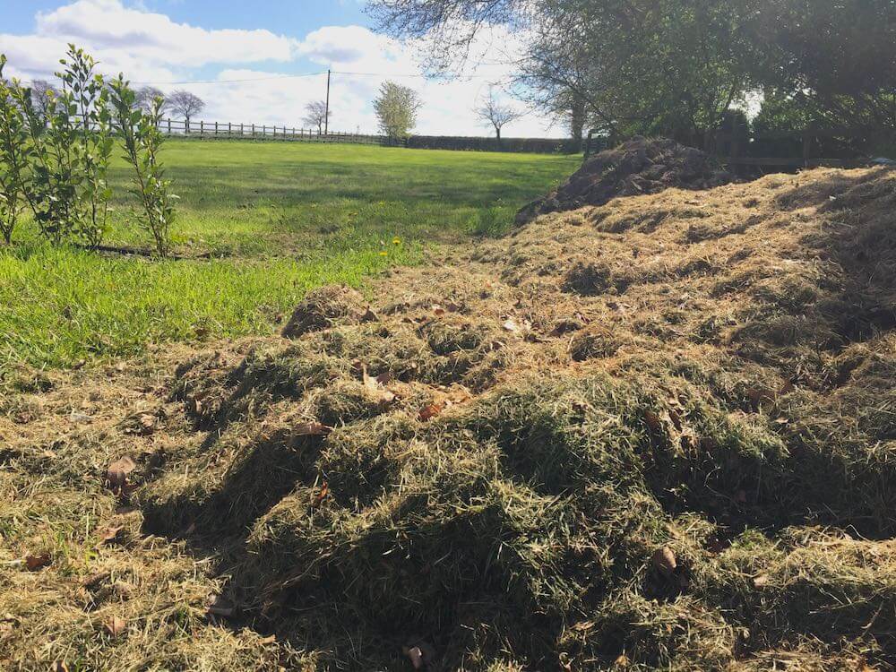 A large heap of grass clippings