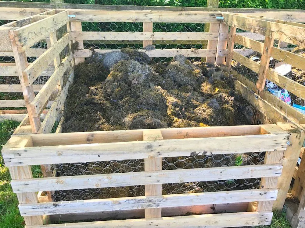 Compost bin full of green waste