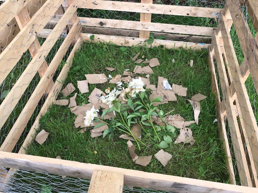 Scraps in a compost bin