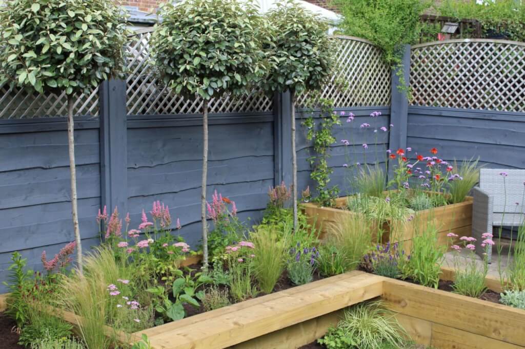 Standard trees in a raised bed