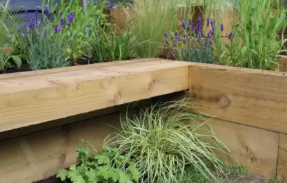 Raised bed in a garden with plants all around it from garden ninja