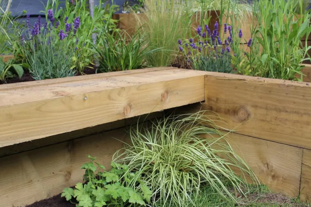 Raised bed in a garden with plants all around it from garden ninja